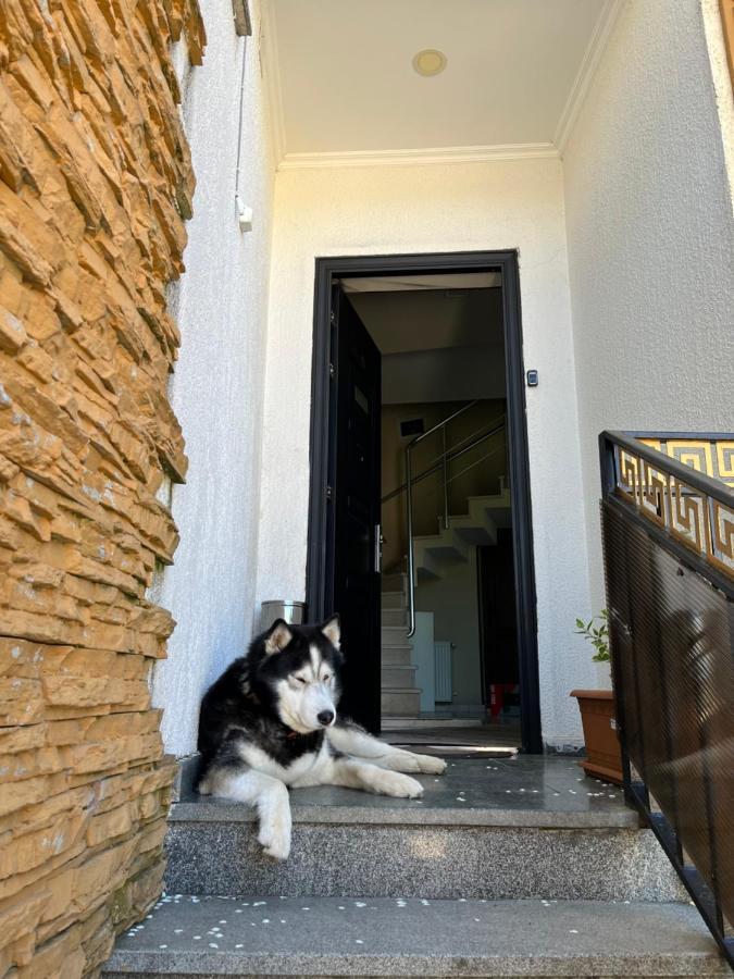 Aisi Kutaisi Hotell Eksteriør bilde